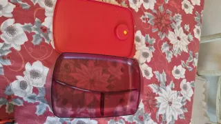 Contenitore Tupperware per microonde