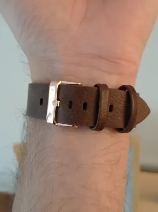 Reloj Tomi Hombre Marrón y Dorado