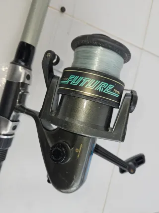 Lote de pesca: cañas y carretes