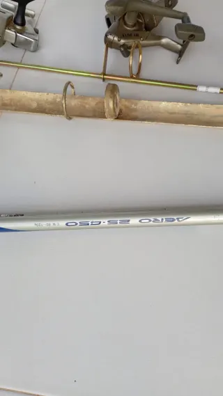 Lote de pesca: cañas y carretes