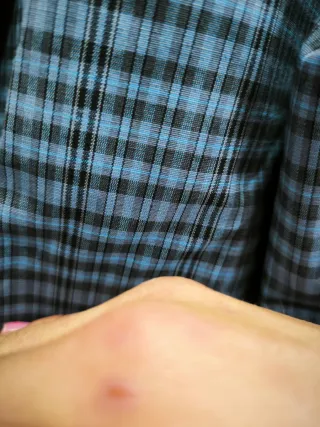 Blazer cuadros azul y gris