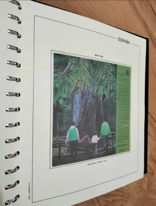 LOTE 15 ÁLBUMES SELLOS ESPAÑA EDIFIL - 1965 - 2018