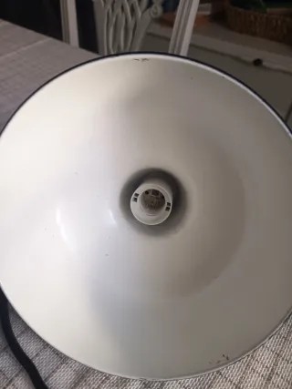 2 tulipas con casquillos