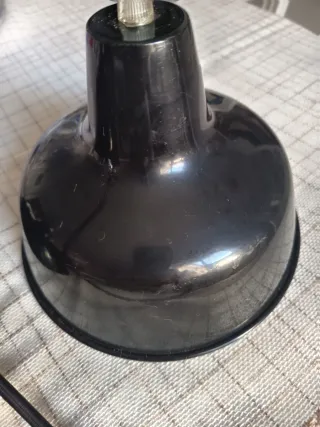 2 tulipas con casquillos