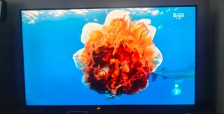 Televisión Xiaomi 55"