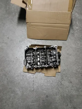 Bomba de Aceite Audi VW Passat B6