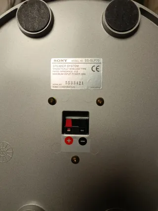 Parlantes Sony Negros y Plateados