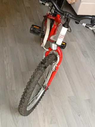 Bicicleta infantil Rin 18