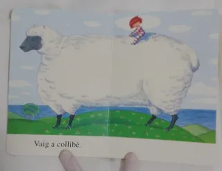 Llibre de Jocs – Ian Beck | llibre infantil cartó