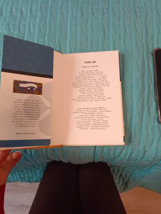 El misterio de la momia (Trébol de oro / Novela...