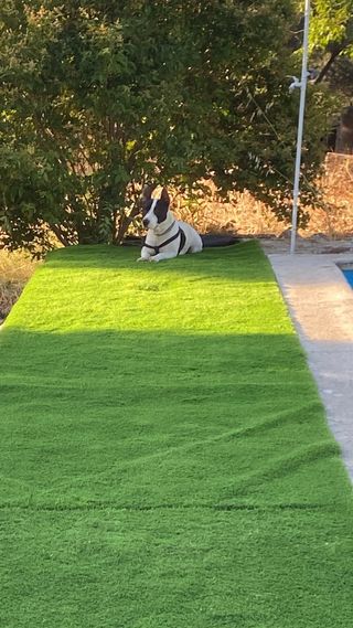 Césped artificial Calpe 2m 45mm