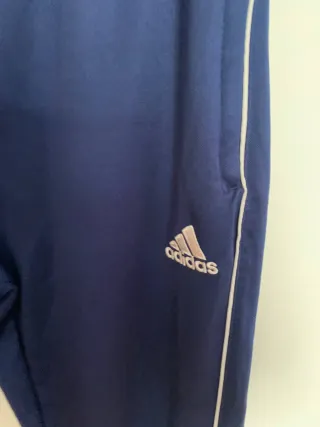 Chándal Adidas Azul