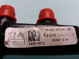 RAMPA INYECTORA FORD FOCUS (3)