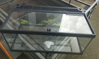 Tortuguera de cristal y plástico