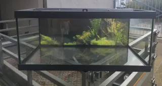 Tortuguera de cristal y plástico