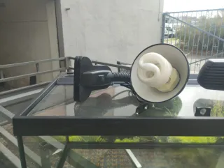 Tortuguera de cristal y plástico