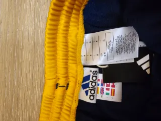 Pantalón Adidas Real Madrid Azul y Dorado