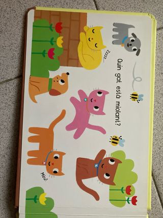 Libro Qui duu barret?