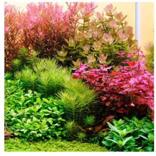 Luz LED Avanzada para Acuario