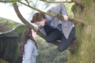 Die Twilight Saga - Biss in alle Ewigkeit/The Comp