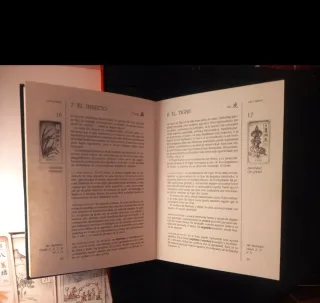 Oráculo del Mah Jongg - Derek Walters