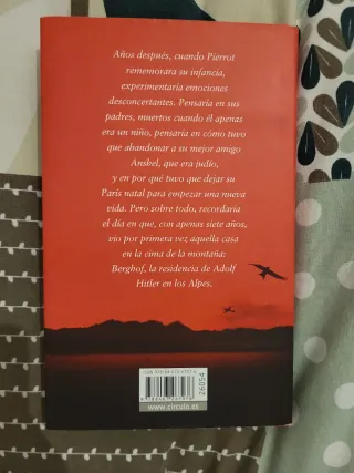 El Niño En La Cima De La Montaña