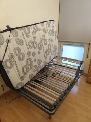 Somier articulado eléctrico