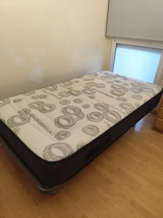 Somier articulado eléctrico