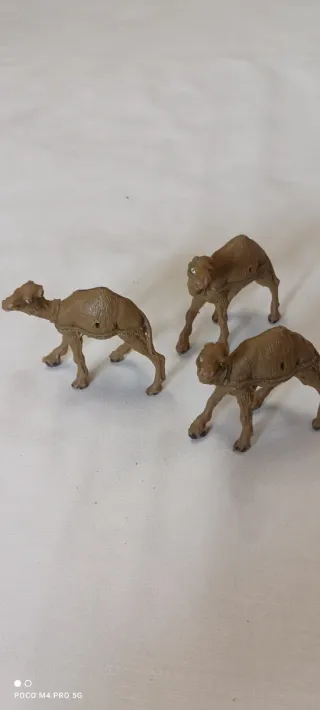 3 Camellos para Belén