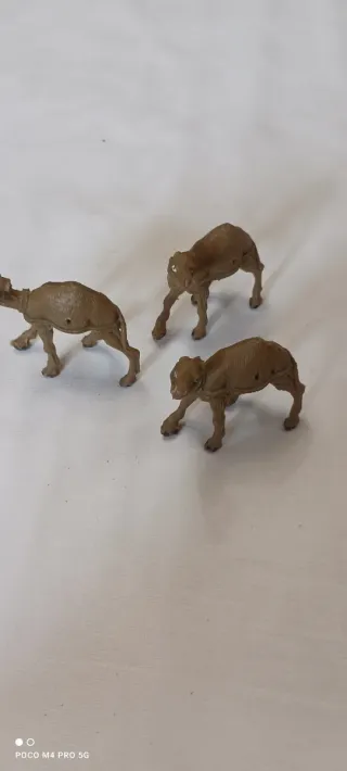 3 Camellos para Belén