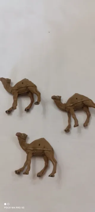 3 Camellos para Belén