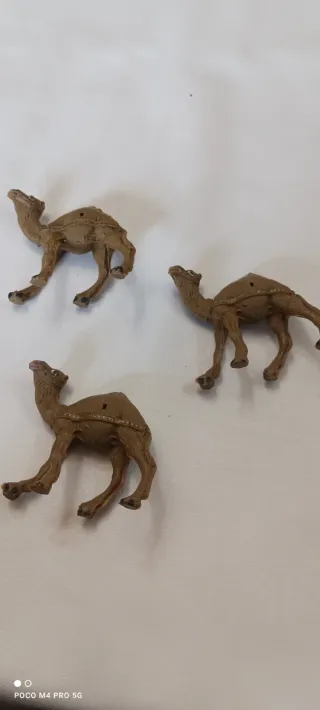 3 Camellos para Belén
