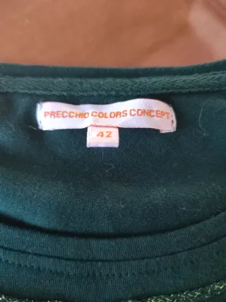 Blusa Precchio verde con bordado