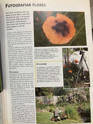 Macrofotografía: Guía Rápida Fotografía