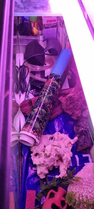 Pecera con base de madera