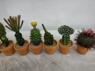 Lote 10 Cactus Artificiales