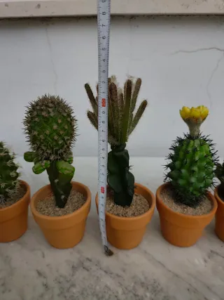 Lote 10 Cactus Artificiales