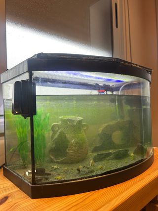 Pecera Curva Acuario