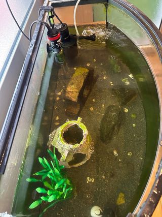 Pecera Curva Acuario