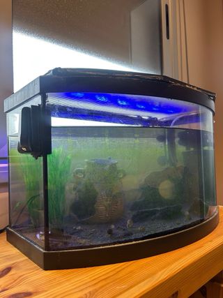 Pecera Curva Acuario