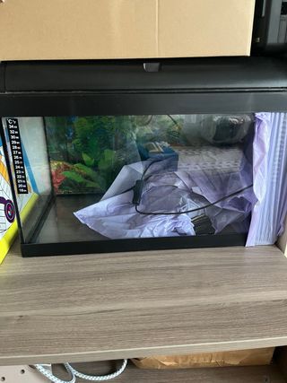 Pecera negra y transparente