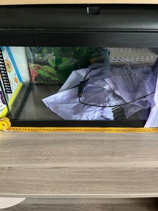 Pecera negra y transparente