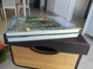 Cuentos maravillosos de hoy y de siempre