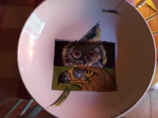 Piatti decorativi dipinti a mano