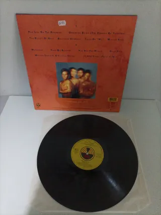 Vinilo Live - Mental Jewelry