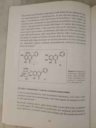 Il trattamento fitoterapico dei reumatismi
