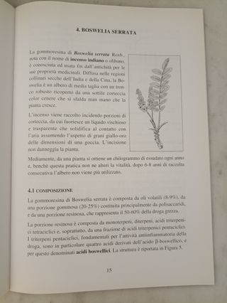 Il trattamento fitoterapico dei reumatismi