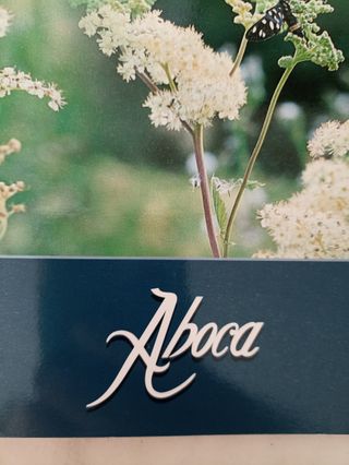 Il trattamento fitoterapico dei reumatismi