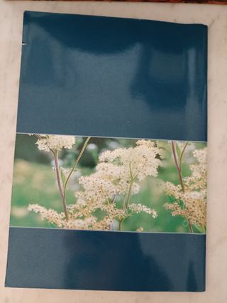 Il trattamento fitoterapico dei reumatismi