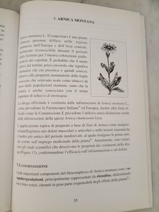 Il trattamento fitoterapico dei reumatismi
